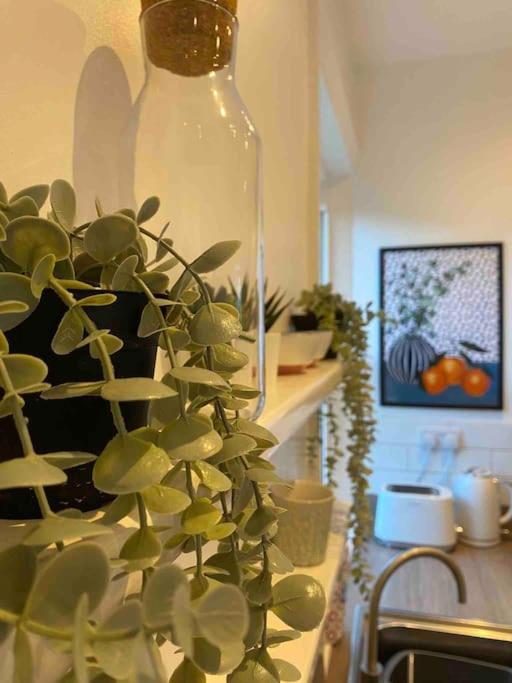Garden Apartment, Central Harrogate With Parking Esterno foto